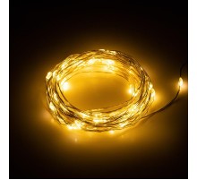 Гирлянда светодиодная серия  Holiday INNR-01Z нить теплый свет 10 м 100 microled IP20  Б0060441  Intro