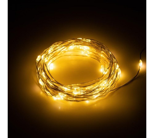 Гирлянда светодиодная серия  Holiday INNR-01Z нить теплый свет 10 м 100 microled IP20  Б0060441  Intro