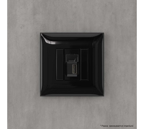 USB 2.0 розетка одинарная в стену, тип А-А, "Avanti", "Черный квадрат"  4402403  DKC