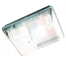 Светильник для тоннелей и переходов ЖБУ 02-100-002 (прозрачный) 100Вт ДНаТ Е40 ЭмПРА IP54  00246  GALAD