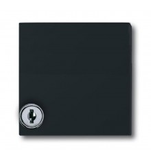 Плата промежуточная с крышкой для центр. плат , с индивидуальным зам., IP44, серия Allwette 44, цвет антрацит  1710-0-1977   2CKA001710A1977  ABB