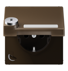 SCHUKO розетка с крышкой и замком  ME1520NAKLSLAT  Jung