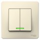 Blanca Молочный С/У Выключатель 2-клавишный с подсветкой, 10А, 250B  BLNVS010512  SE