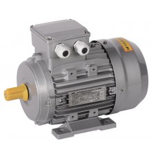 Электродвигатель 3ф.АИС 80B8 380В 0,25кВт 750об/мин 1081 (лапы) DRIVE  AIS080-B8-000-3-0710  IEK