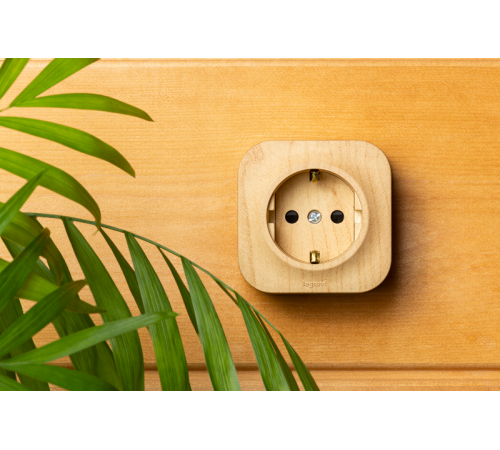 Quteo Сосна Розетка с заземлением со шторками  782280  Legrand