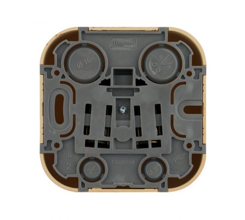 Quteo Сосна Розетка с заземлением со шторками  782280  Legrand