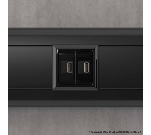 USB зарядное устройство "Черный квадрат", "Avanti", 2.1А, 2 мод.  4402542  DKC