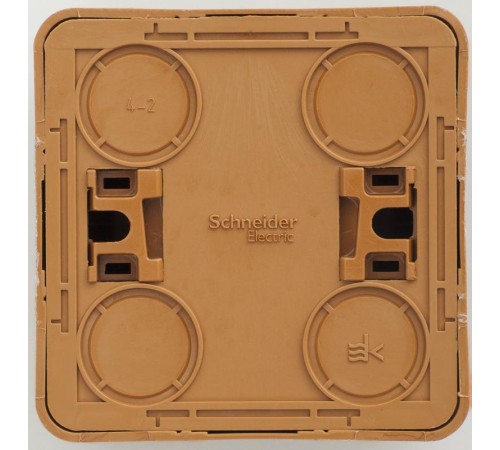 Этюд Бук О/У Розетка с заземлением со шторками  PA16-004T  SE