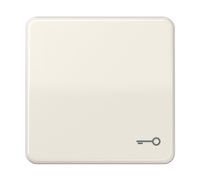 Клавиша ударопрочная с символом "ключ"; слоновая кость  CD590BFT  Jung