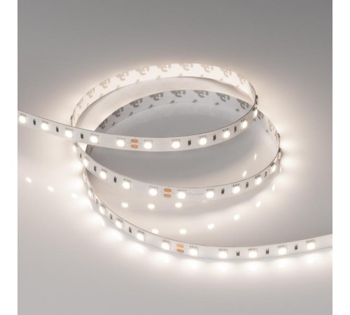 Лента светодиодная RT-B60-10mm 24V Day4000 (14.4 W/m, IP20, 5060, 5m) (arlight, Открытый)  011571(2)  Arlight