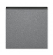 ABB Levit Сталь / дымчатый чёрный Управляющий элемент для светорегулятора клавишного  3299H-A00100 69  2CHH700100A4069  ABB