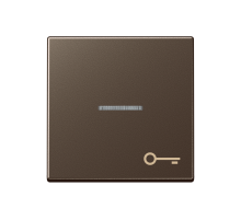 Клавиша для контрольного выключателя со знаком ключ; мокка  A590KO5TMO  Jung