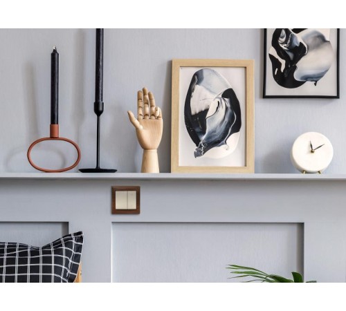 Valena Сл. кость Светорегулятор нажимной 40-600W для л/н и обмоточных т-ров  774174  Legrand