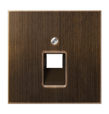 Крышка для одинарных телефонных и компьютерных розеток (UAE), фиксация винтом; металл; латунь antik; Messing  ME2969-1UAAT  Jung