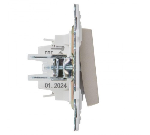 SKANDY Выключатель 1-клавишный 10А SK-V01Sh шампань  SK-V10-0-10-K37  IEK