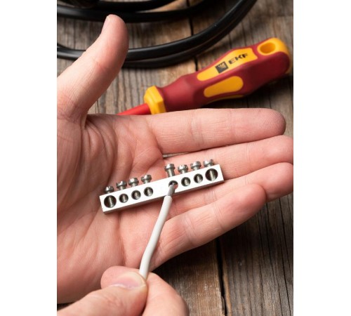 Шина "PE" 63.08 (никель) EKF PROxima  sn1-63-08  EKF