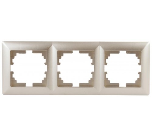 4-503-04 Intro Рамка на 3 поста, СУ, Solo, шампань  Б0043420  Intro