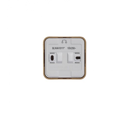 Blanca Ясень О/У с изолирующей пластиной Ясень Выключатель 1-клавишный с подсветкой 10А,250B  BLNVA101115  SE