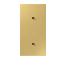 Центральная плата, 2 поста, для вертикальной установки, тумблеры 1+1, конус; металл; латунь classic; LS1912  ME12-20CK25  Jung