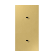 Центральная плата, 2 поста, для вертикальной установки, тумблеры 1+1, конус; металл; латунь classic; LS1912  ME12-20CK25  Jung