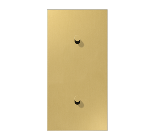 Центральная плата, 2 поста, для вертикальной установки, тумблеры 1+1, конус; металл; латунь classic; LS1912  ME12-20CK25  Jung
