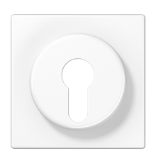 Крышка к выключателю для замочного механизма; белая LS928WW Jung