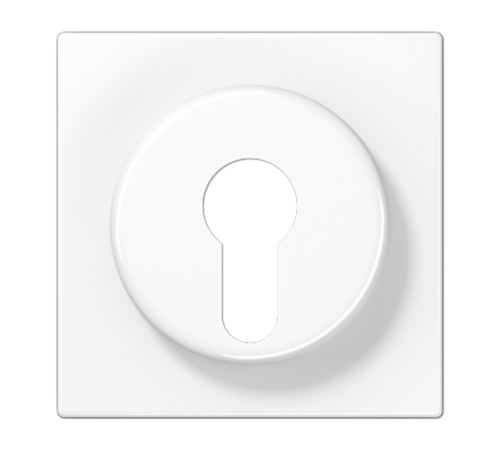 Крышка к выключателю для замочного механизма; белая LS928WW Jung