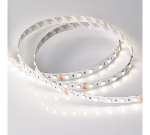Лента светодиодная RT-B60-12mm 24V RGBW-Day-4-in-1 (19.2 W/m, IP20, 5060, 5m) (arlight, Открытый)  019151(2)  Arlight