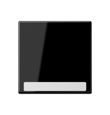 Клавиша с полем для надписи A590BFNASW Jung