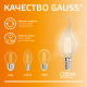 Лампа светодиодная   Filament Elementary Свеча на ветру 10W 650lm 2700К Е14 LED 1/10/100  42110  Gauss