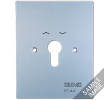 Металлическая крышка 125100 мм без символов; алюминий  6.28WUG  Jung