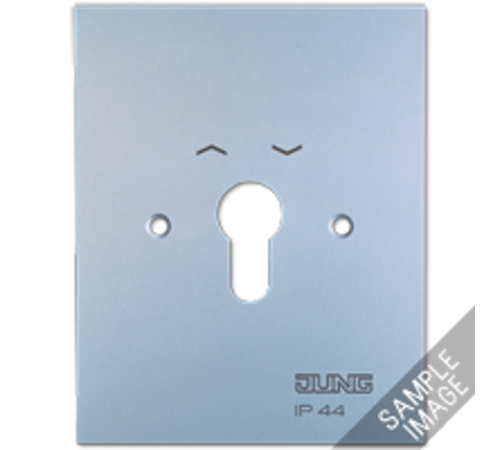 Металлическая крышка 125100 мм без символов; алюминий  6.28WUG  Jung