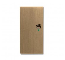 SRS-2-L-840 Клавиша двойная левая free@home, сцена, Династия, латунь античная6220-0-0379 ABB