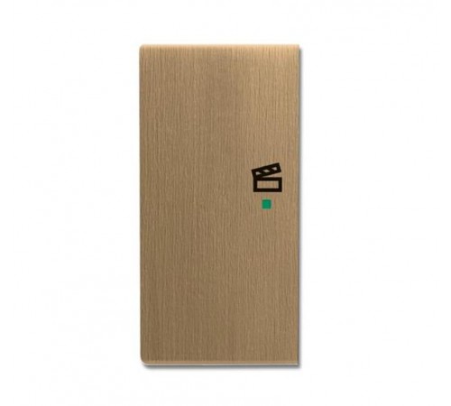 SRS-2-L-840 Клавиша двойная левая free@home, сцена, Династия, латунь античная6220-0-0379 ABB