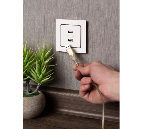 Стокгольм Механизм Розетки USB 2-местной 2,1А белый PROxima  EYR16-028-10-2USB  EKF