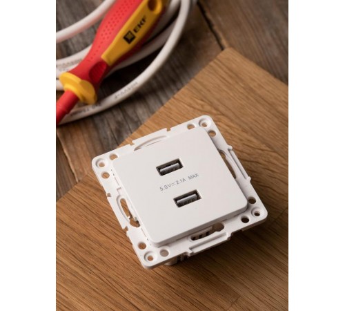 Стокгольм Механизм Розетки USB 2-местной 2,1А белый PROxima  EYR16-028-10-2USB  EKF