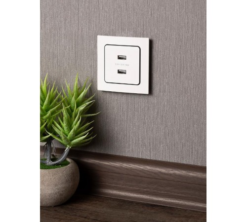 Стокгольм Механизм Розетки USB 2-местной 2,1А белый PROxima  EYR16-028-10-2USB  EKF