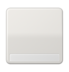 Клавиша для выключателя с полем для надписи; светло-серая  CD590NALG  Jung