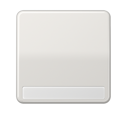 Клавиша для выключателя с полем для надписи; светло-серая  CD590NALG  Jung