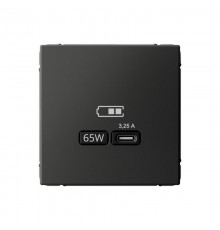 ArtGallery Базальт Розетка USB тип-С 65Вт высокоскор.заряд. QC, PD, механизм  GAL001427  SE