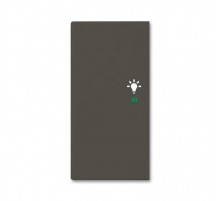 SRL-2-L-95 Клавиша двойная левая free@home, освещение, Basic 55, цвет chateau-black  6220-0-0692   2CKA006220A0692  ABB