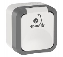 TORS Роз. 1-я с з/к кр с ик самок 16А IP55 TS321 сер-бел  TS-R110-16-55-K41  IEK