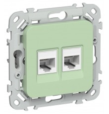 FLITE Розетка 2-ая RJ45/RJ11 кат.5Е/3 UTP РКТ5е/3-2-0-ФлФ фисташковый  FI-KT22-1-K93  IEK