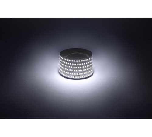 Лента светодиодная  LS2835 -14,4-180-12-6500K-IP20-1 year-5m холодный белый 5м  Б0059905  ЭРА