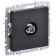 BRITE Розетка TV проходная РТВ10-0-БрЧ черный  BR-A10-P-K02  IEK