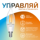 Лампа светодиодная филаментная Smart Home DIM+CCT E14 CF35 4,5 Вт 2000-6500 К 1/10/40  1280112  Gauss