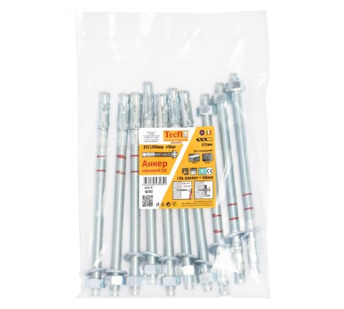 Анкер клиновой ZJE ZN12x200 (10 шт) - пакет  147552  Tecfi