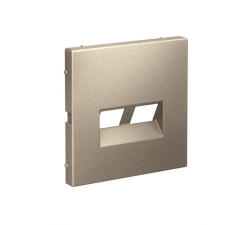 ArtGallery Шампань Накладка двойная для информационных функций типа Keystone  GAL000590  SE