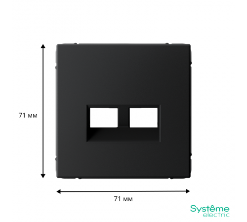 ArtGallery Карбон Накладка двойная для информационных функций типа Keystone  GAL001090  SE