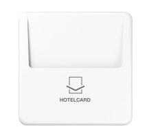 Накладка-картодержатель для балансирных механизмов 531U, 532U, 533U, 534U; термопласт; белый; CD500  CD590CARDWW  Jung